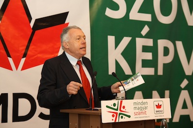 Borbély László: Nu trebuie să divizăm reprezentarea politică unitară